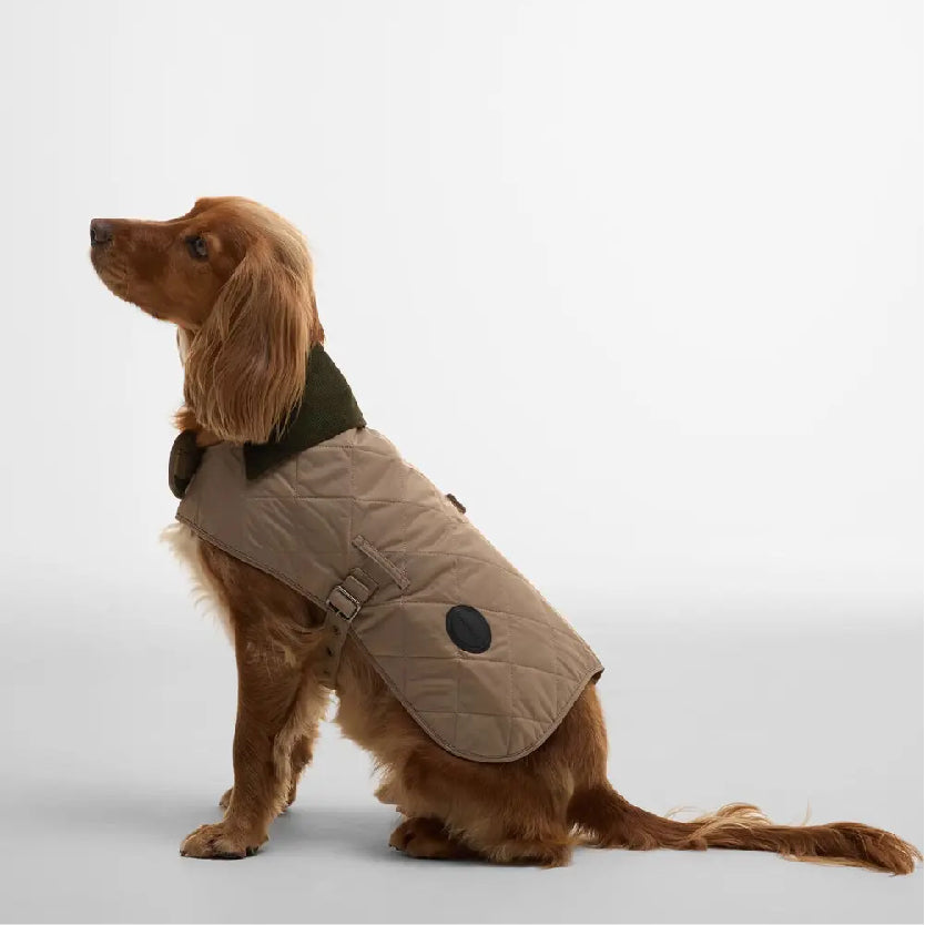 Quilted Dog Coat