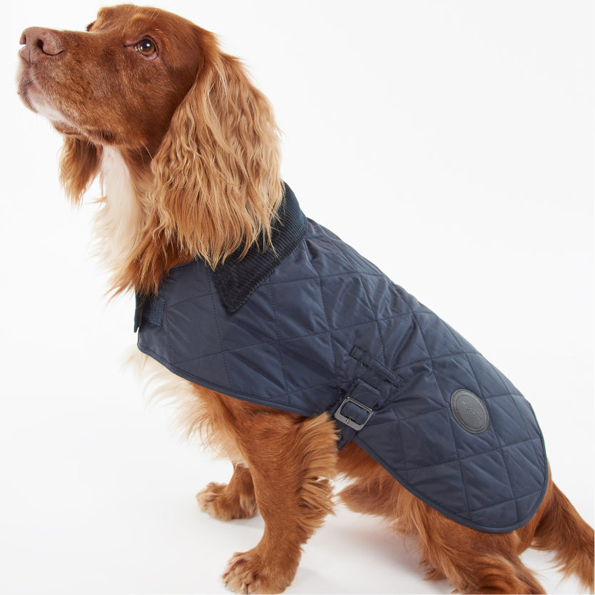 Quilted Dog Coat
