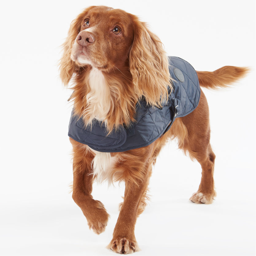 Quilted Dog Coat