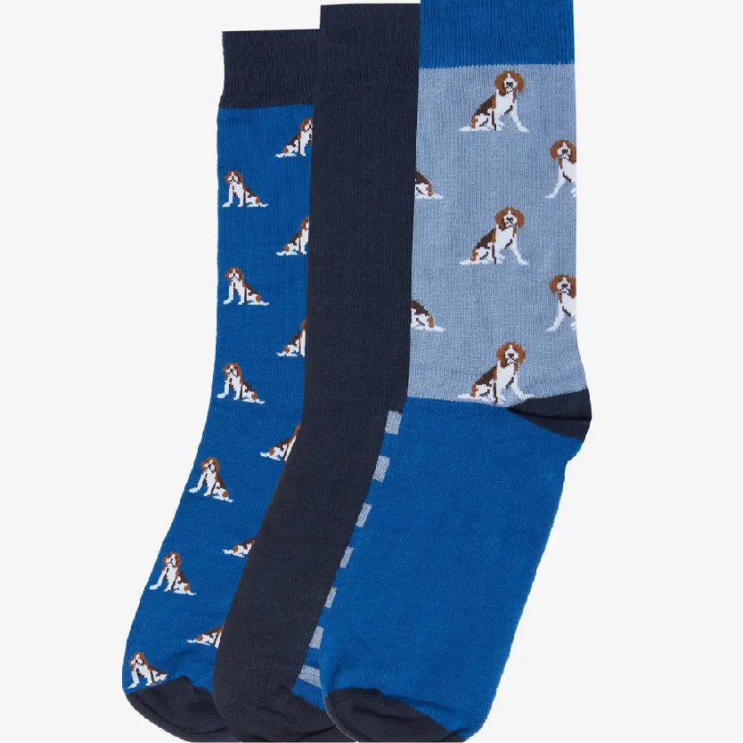Beagle Sock Set