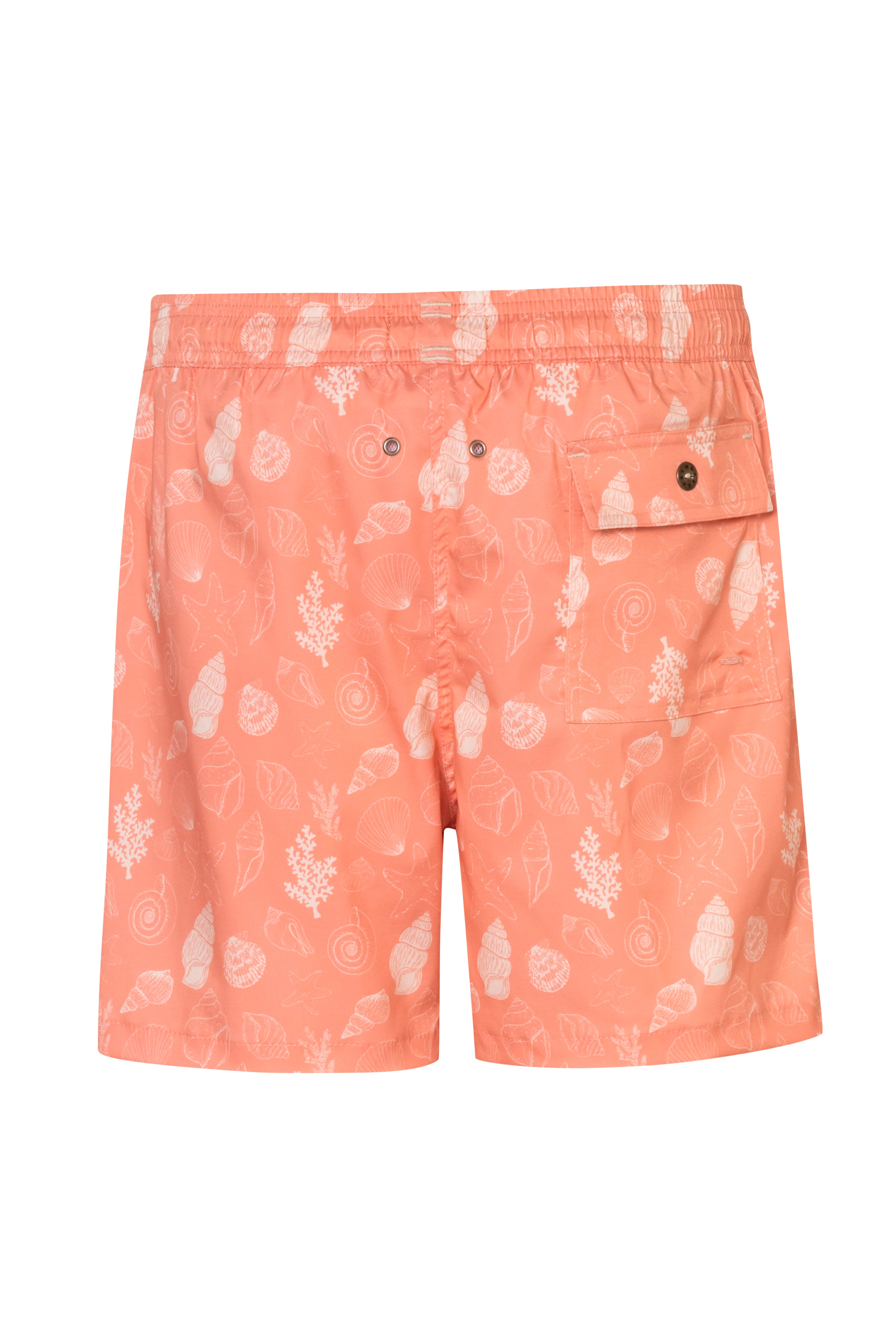 CORALIA1 PEACH