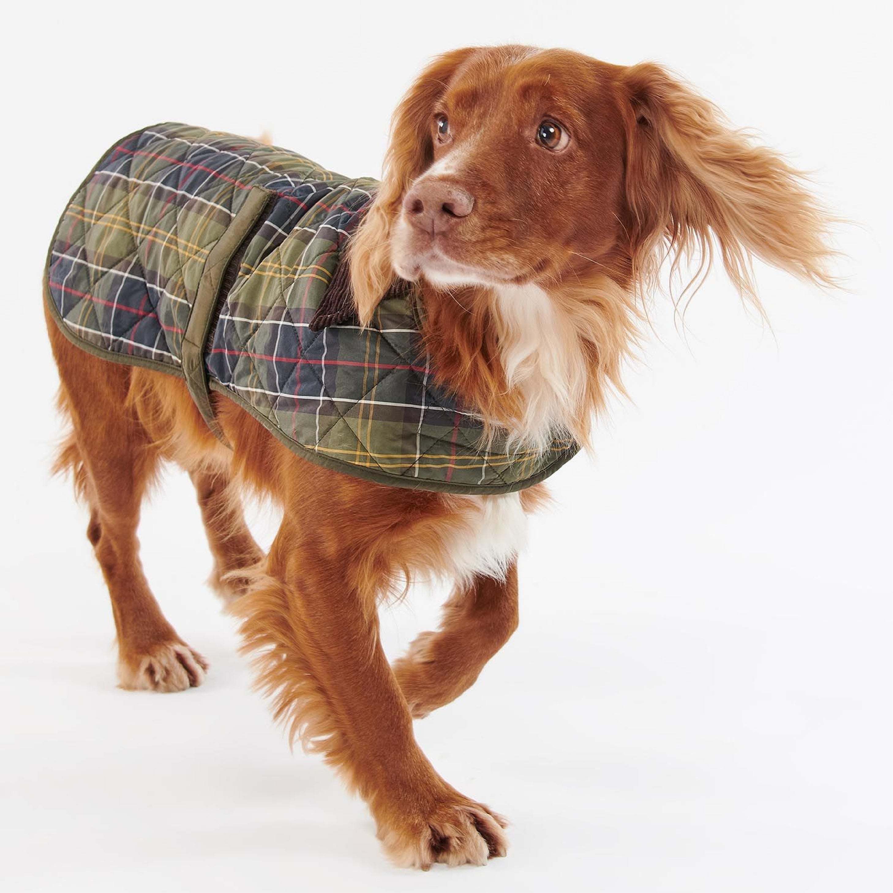 Tartan Dog Coat