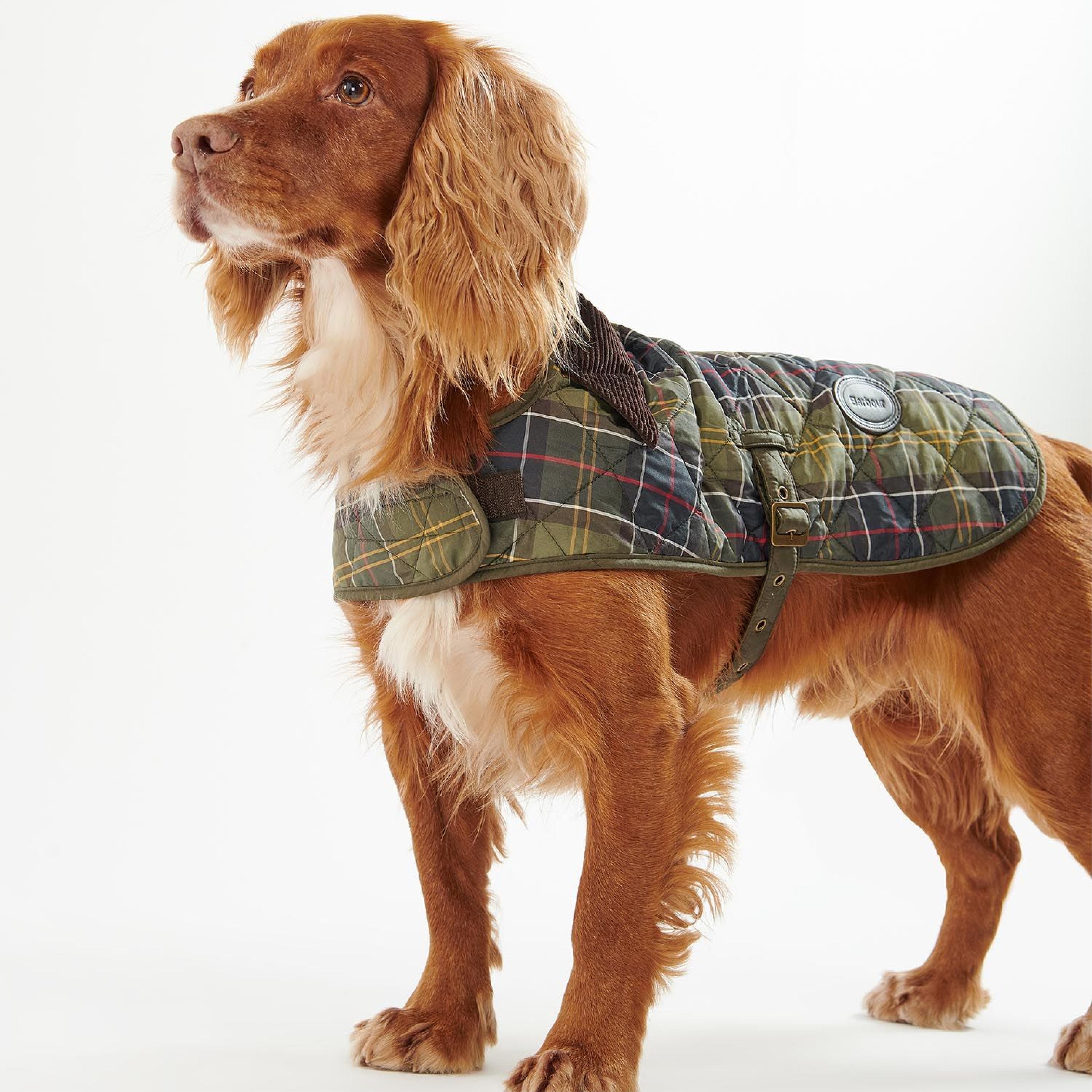 Tartan Dog Coat