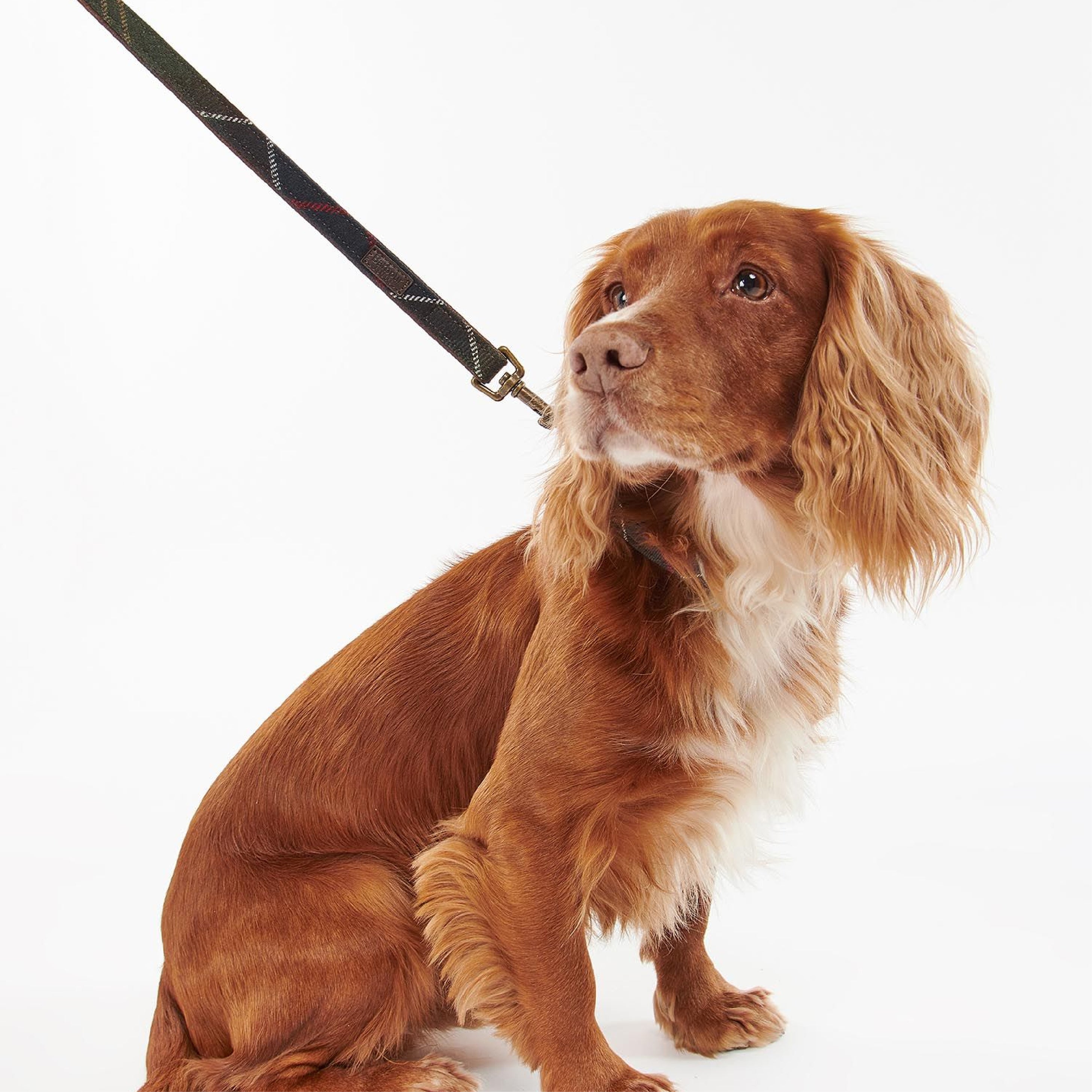 Tartan Dog Lead